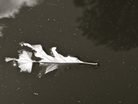 P8190122